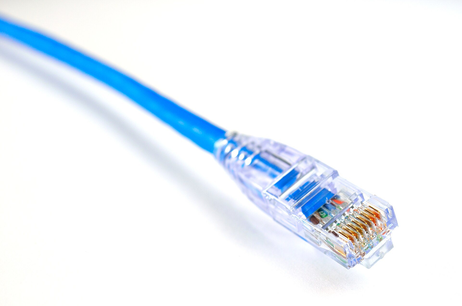 A blue Ethernet network cable with a clear RJ45 connector, photographed against a plain white background